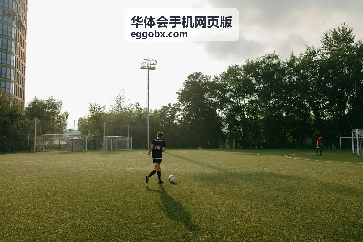 华体会手机网页版手机浏览器登录页面示意