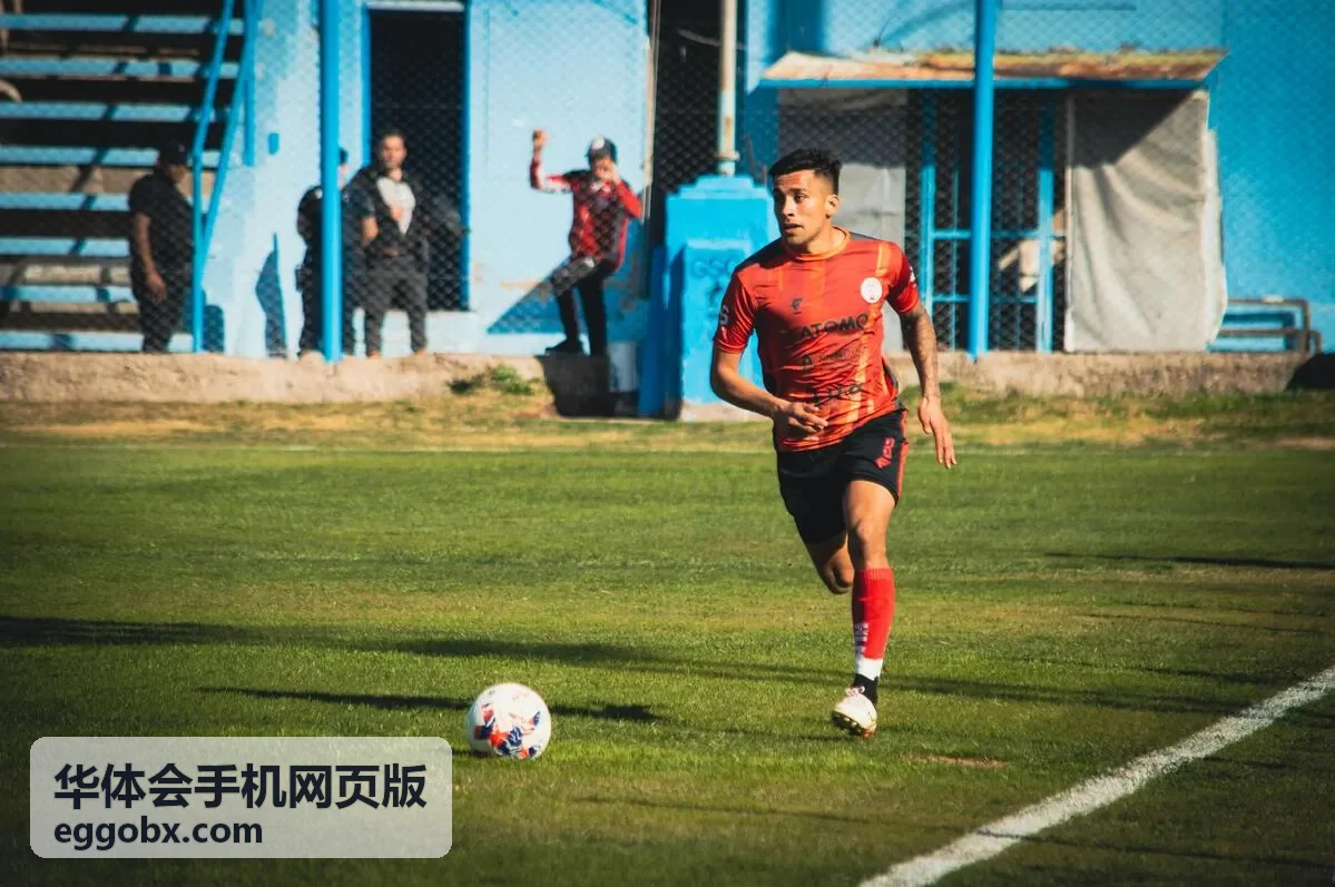 华体会手机网页版会员等级权益中的专属内容专区入口界面