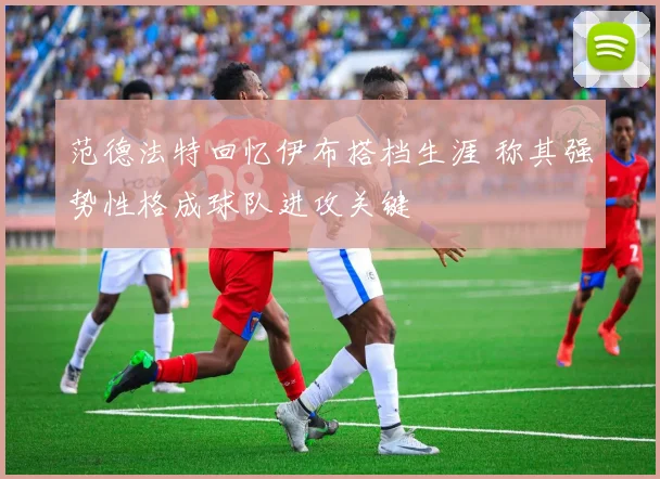 范德法特回忆伊布搭档生涯 称其强势性格成球队进攻关键