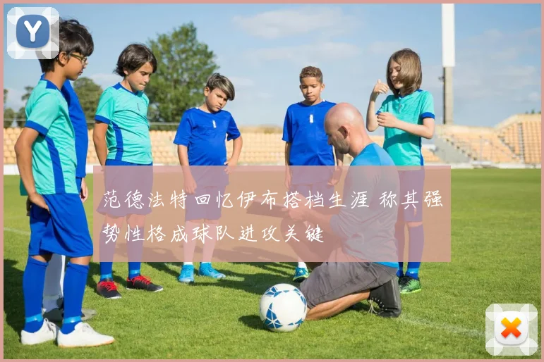 范德法特回忆伊布搭档生涯 称其强势性格成球队进攻关键