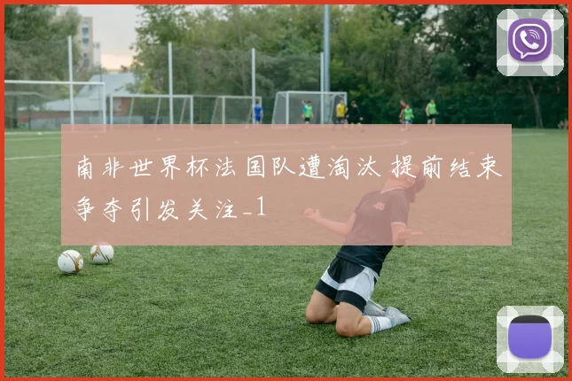 南非世界杯法国队遭淘汰 提前结束争夺引发关注_1