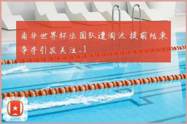 南非世界杯法国队遭淘汰 提前结束争夺引发关注_1